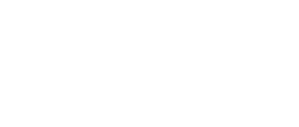 Hochzeitsfliege.com Logo in Weiss